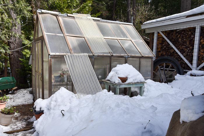 greenhouse in March snow