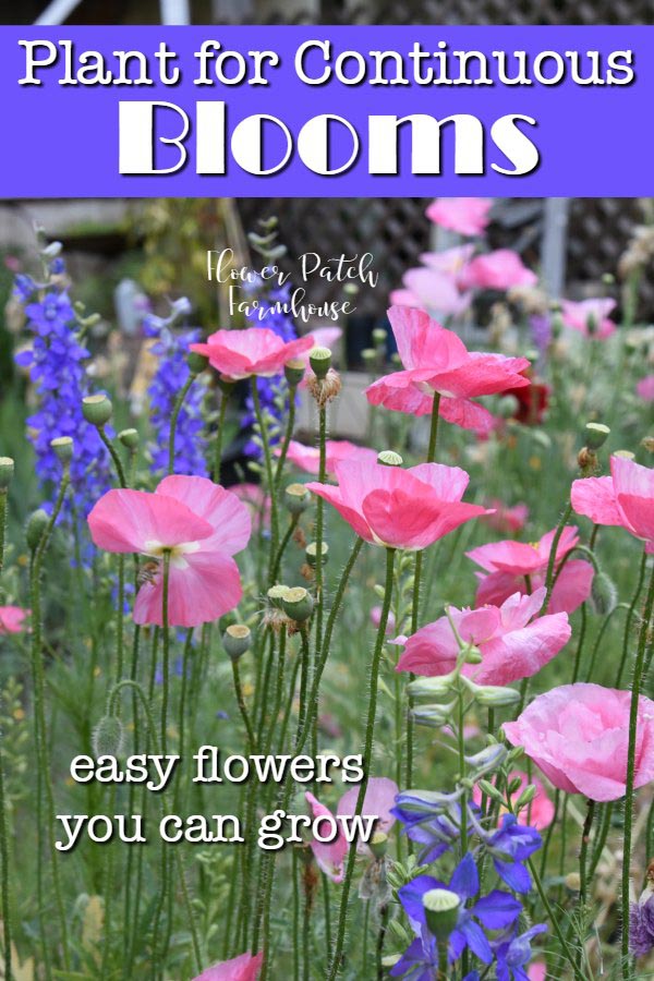 pink poppies and larkspur with text overlay, plant for continuous blooms, easy flowers you can grow, Flower Patch Farmhouse