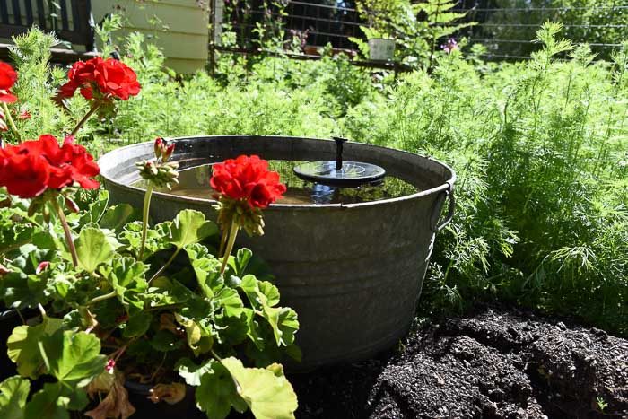 DIY Solar Fountain Hummingbird Bath