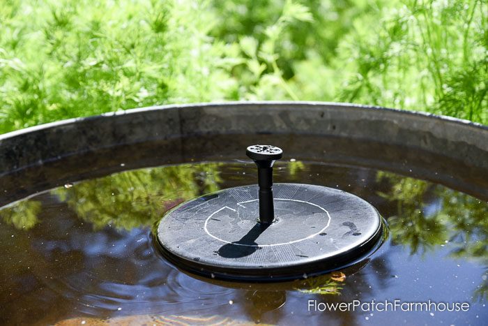 DIY Solar Fountain Hummingbird Bath