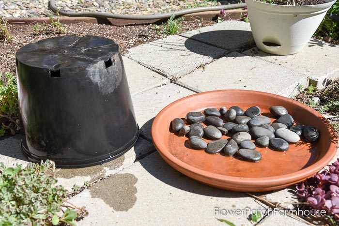 DIY Solar Fountain Hummingbird Bath