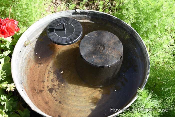 DIY Solar Fountain Hummingbird Bath