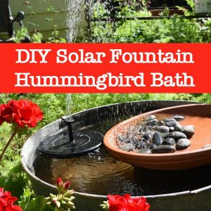 DIY Solar Fountain Hummingbird Bath 