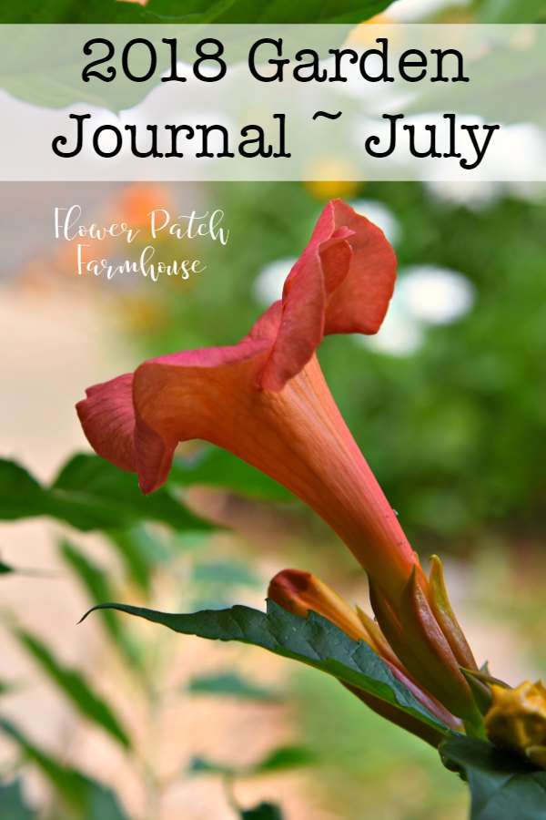 2018 Garden Journal Flower Patch Farmhouse July, An update on the garden for July 15, 2018 #flowerpatchfarmhouse #gardenjournal #cottagegarden