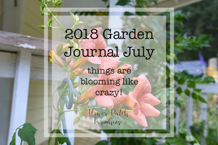 Garden Journal July 16 update