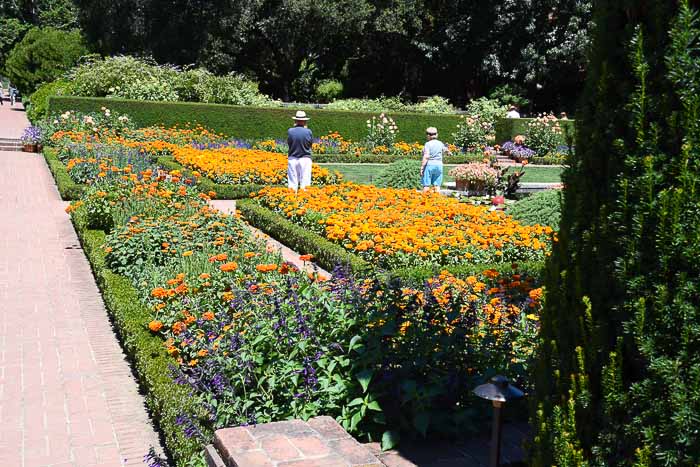 Sunken garden at Filoli. 