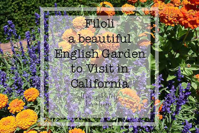 Filoli A Garden to Visit in California