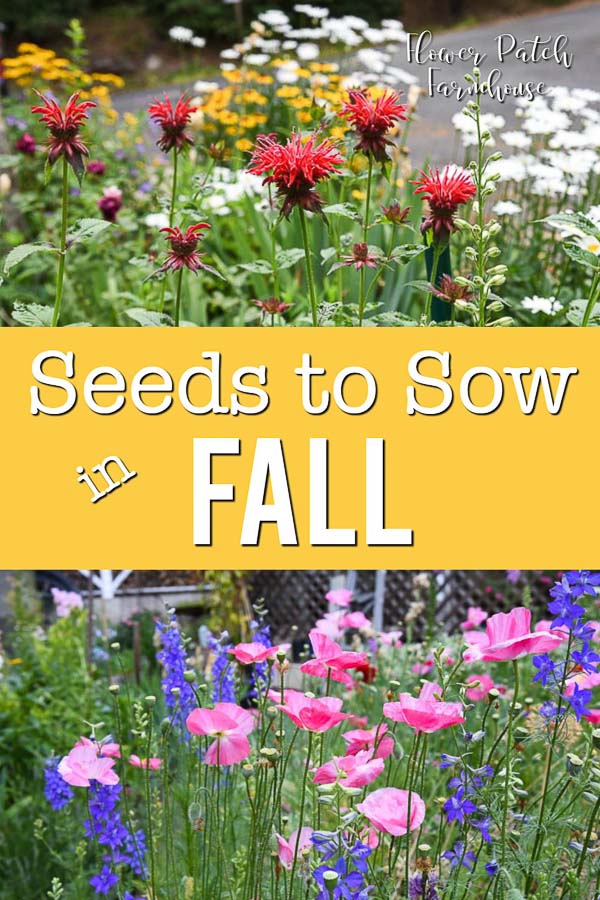 Sow Your Seeds In Fall For A Beautiful, When Should I Start Seeds For Fall Garden