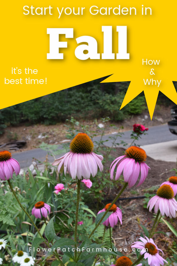 Echinacea Purple Coneflower with Text overlay, Fall is the best time to garden, flowerpatchfarmhouse.com