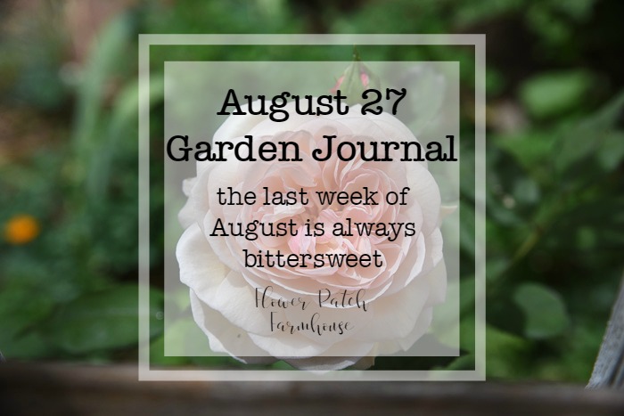 Garden Journal August 2018