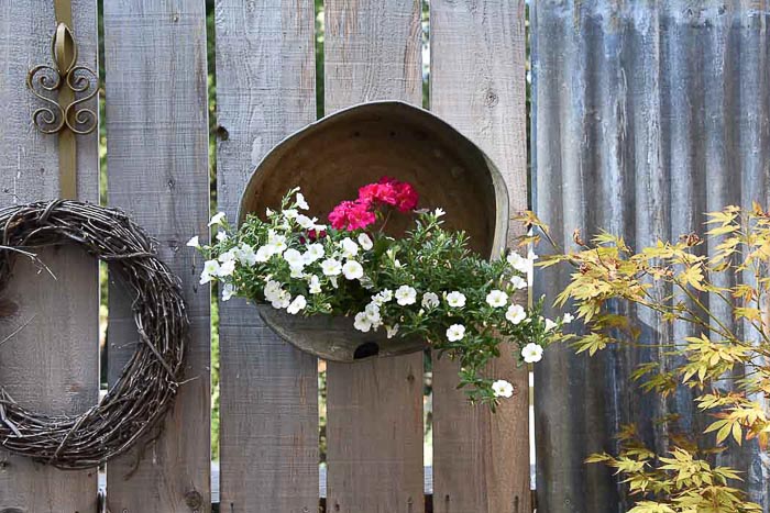 hanging galvanized container planted with calibrochoas and zonal geraniums