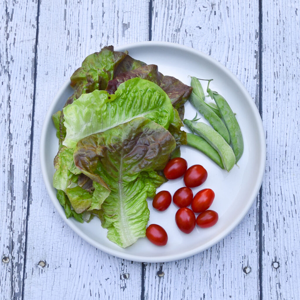 vegetables on a white plate: lettuce leaves, cherry tomatoes and sugar snap peas