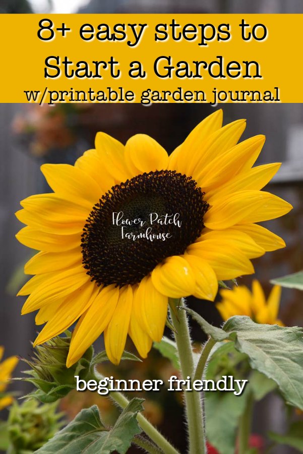 Start an Easy Garden for Beginners - Flower Patch Farmhouse