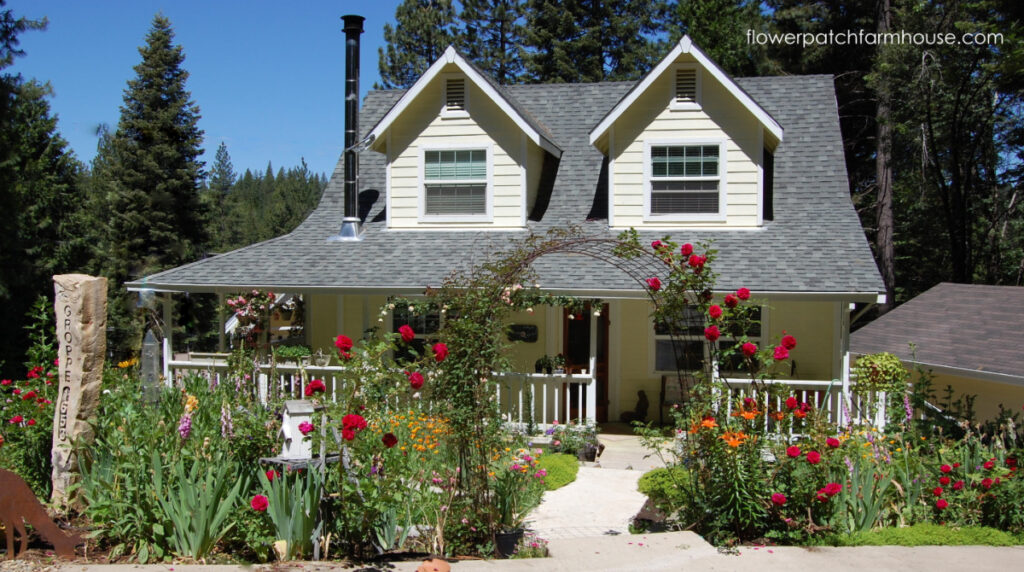yellow cottage surrounded by red roses on an arbor