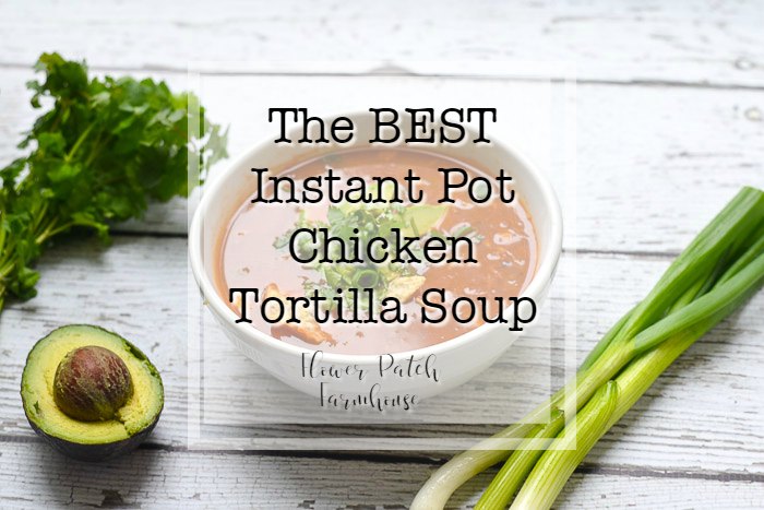 Best Instant Pot Chicken Tortilla Soup