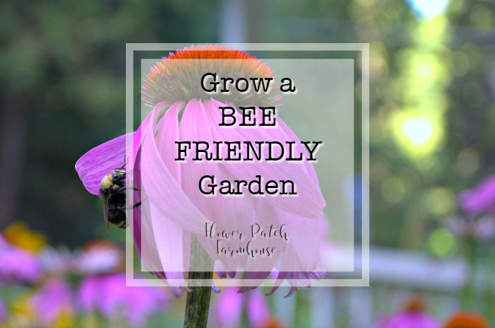 Plant a Bee Friendly Garden