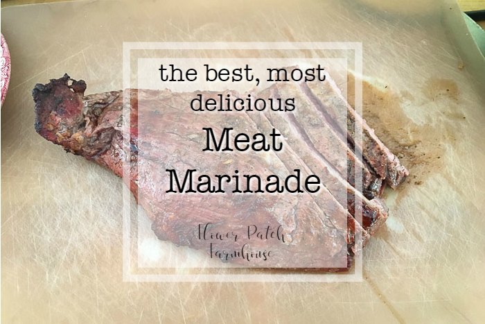 My Best Meat Marinade, absolutely delicious