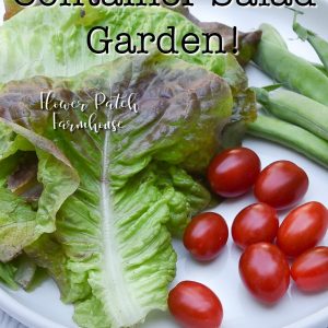 lettuce, tomatoes and snap peas with text overlay, Grow a container salad garden, Flower Patch farmhouse