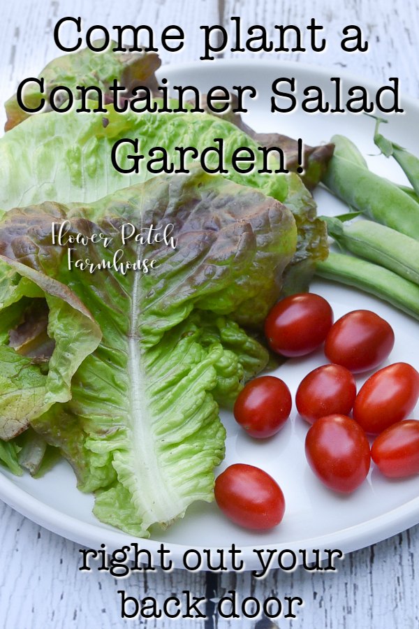 lettuce, tomatoes and snap peas with text overlay, Grow a container salad garden, Flower Patch farmhouse