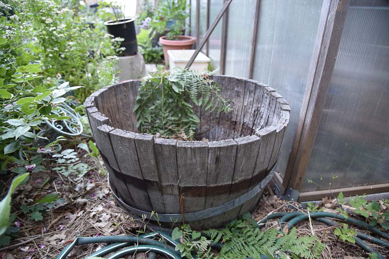 half wine barrel to plant a container salad garden