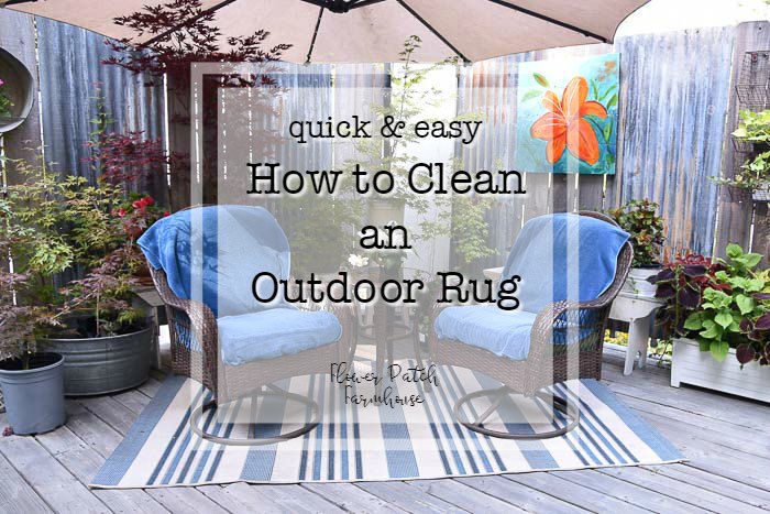 https://www.flowerpatchfarmhouse.com/wp-content/uploads/2019/08/How-to-Clean-your-Outdoor-rug-feature.jpg