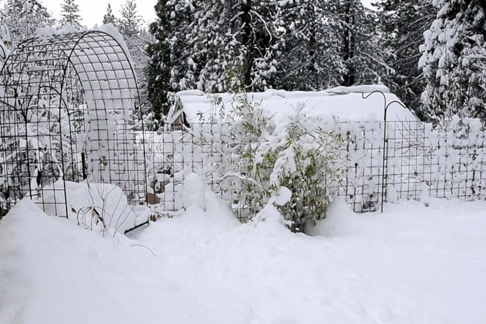 snow on Secret Garden Flower Patch Farmhouse