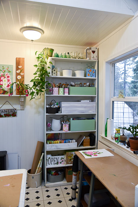 She shed makeover, book case storage and organization