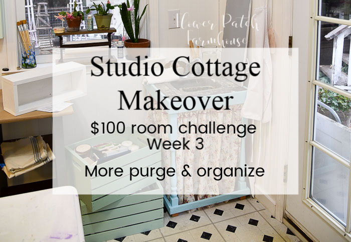 She Shed cottage Makeover, better storage and organization