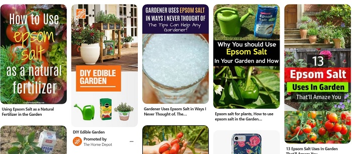 epsom salt pins