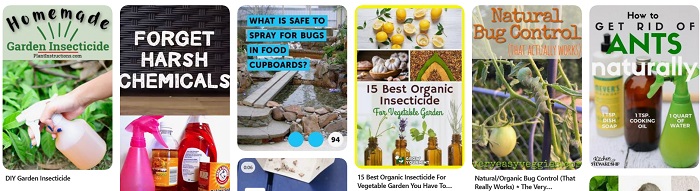 Pinterest collage of images for using organic insecticides