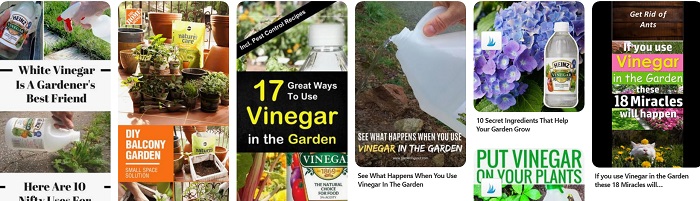 Pinterest images of vinegar use in garden