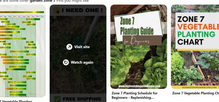 pinterest screen shot on garden zone planting