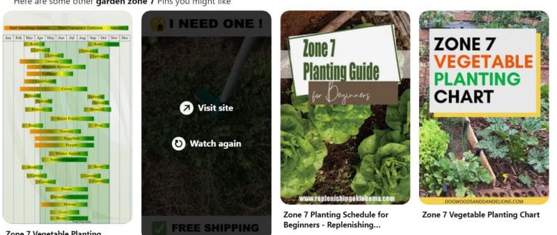 pinterest screen shot on garden zone planting
