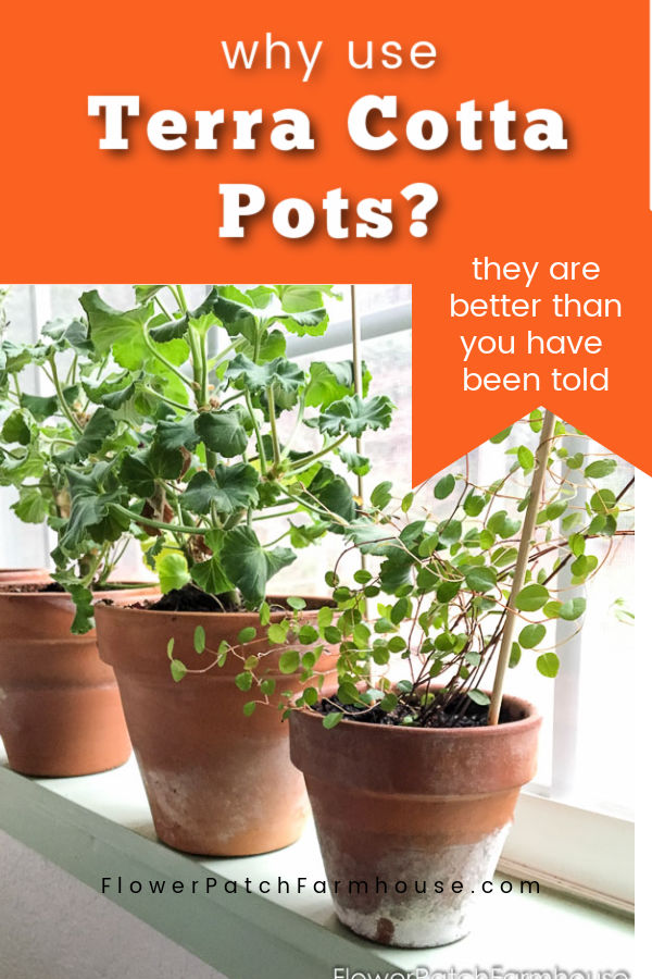 Amazing Benefits of Terra Cotta Pots Flower Patch Farmhouse