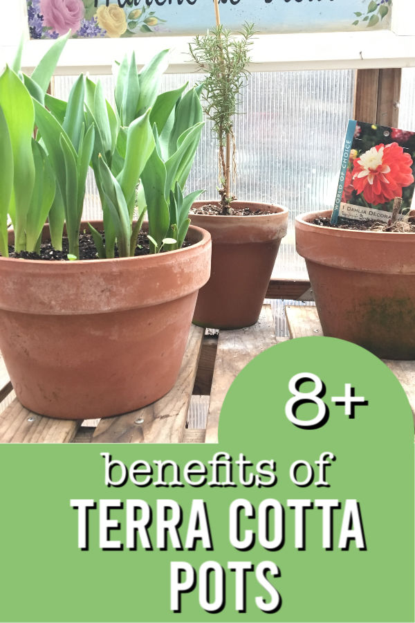 terra cotta pots filled with plants with text overlay, 8 plus benefits of Terra Cotta pots