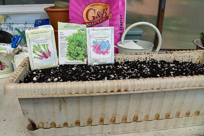 seeds to sow in a Container Vegetable Garden