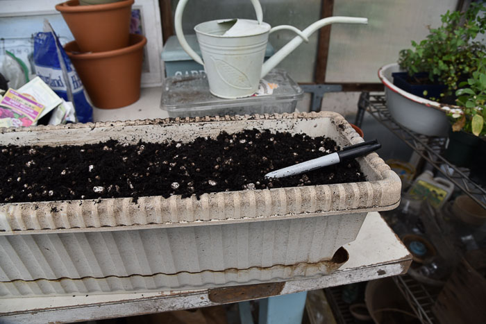 creating a seed drill to sow seeds in a Container Vegetable Garden