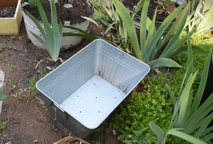 galvanized drink tub with holes drilled in it