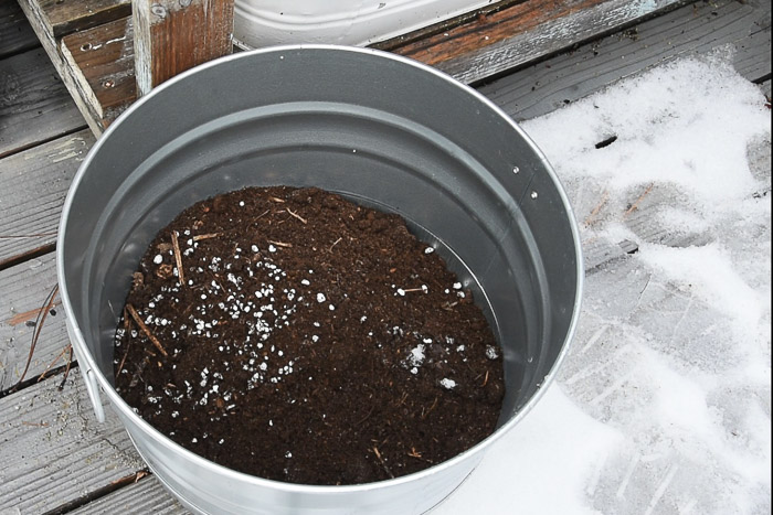 potting soil in pot for bulb planting