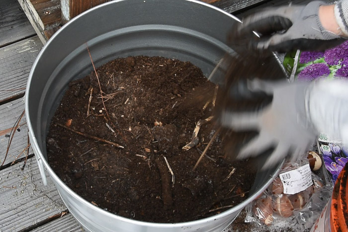 fill bulb container with soil