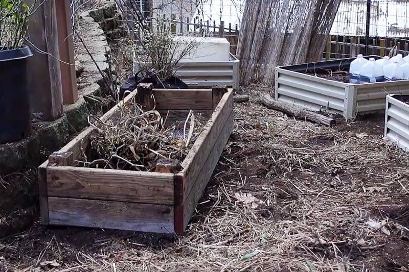 raised bed prepared for planting strawberries