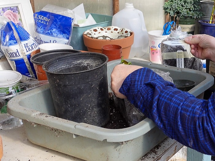 recycled nursery can or pot ready for planting