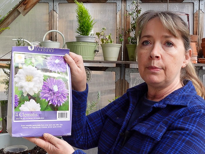 Pam holding a bag of bare root clematis from Costco