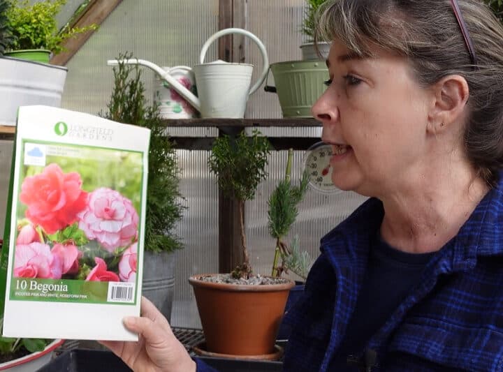 Pam holding package of pink begonia tubers