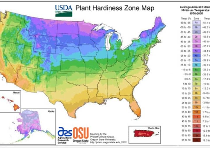 USDA zone map