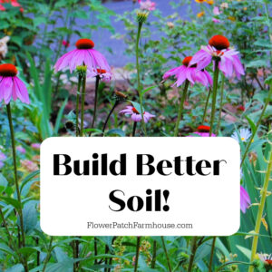 echinacea, black eyed susans in garden with text overlay, easy Build Better Soil! Flower Patch Farmhouse dot com