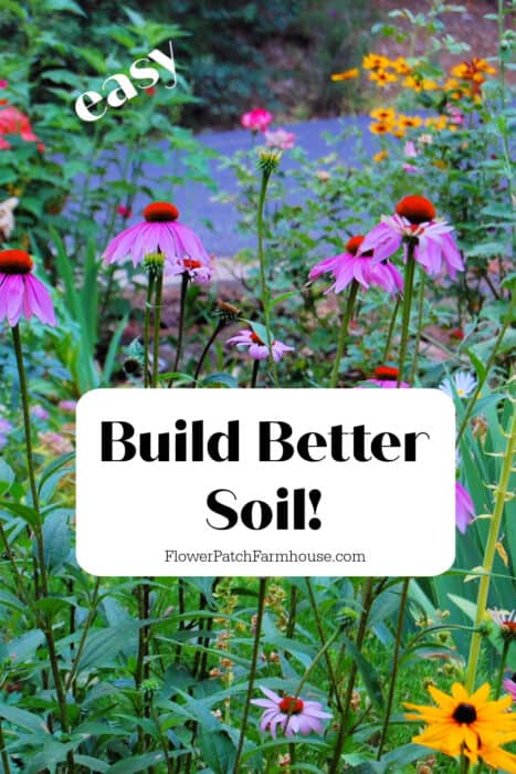 echinacea, black eyed susans in garden with text overlay, easy Build Better Soil! Flower Patch Farmhouse dot com