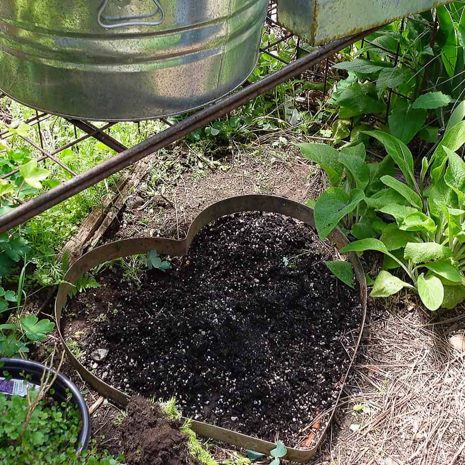 heart shape frame for moss groundcover