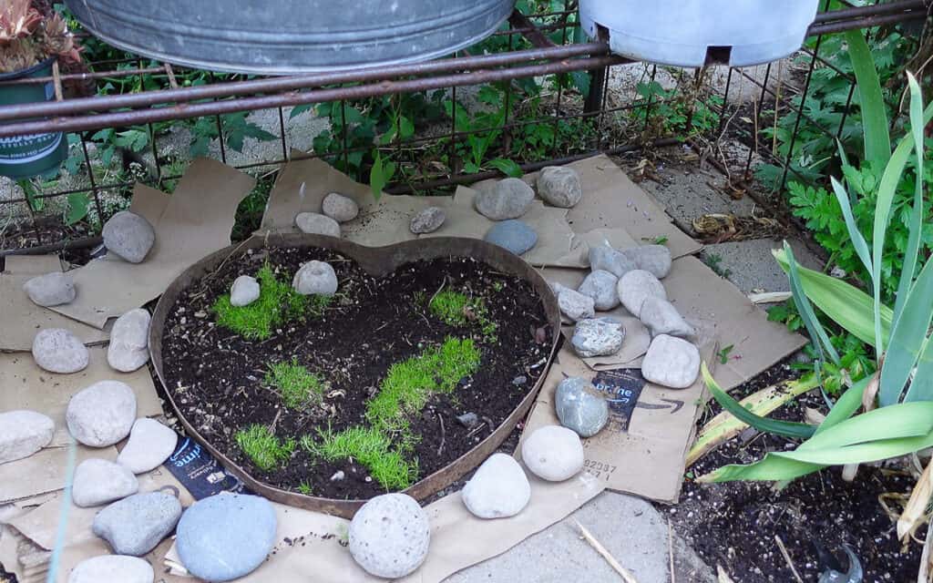 River rock place around Moss heart garden element