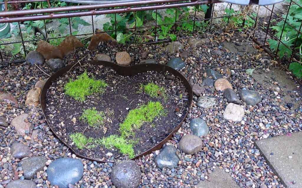 Pea gravel placed around Moss heart shape and stones